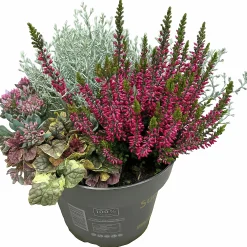 Mixkruka SunPoly 19cm