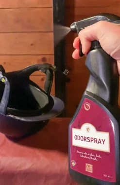 Odörspray Re:claim Spray 500ml