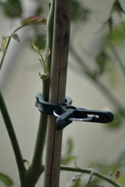Plantclips Nelson Garden Strong 20-p