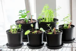 Planteringskruka Orthex Cultivate Recycled plast Ø14cm 1,4L