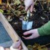 Planteringsspade Nelson Garden Bred Rostfri 33cm