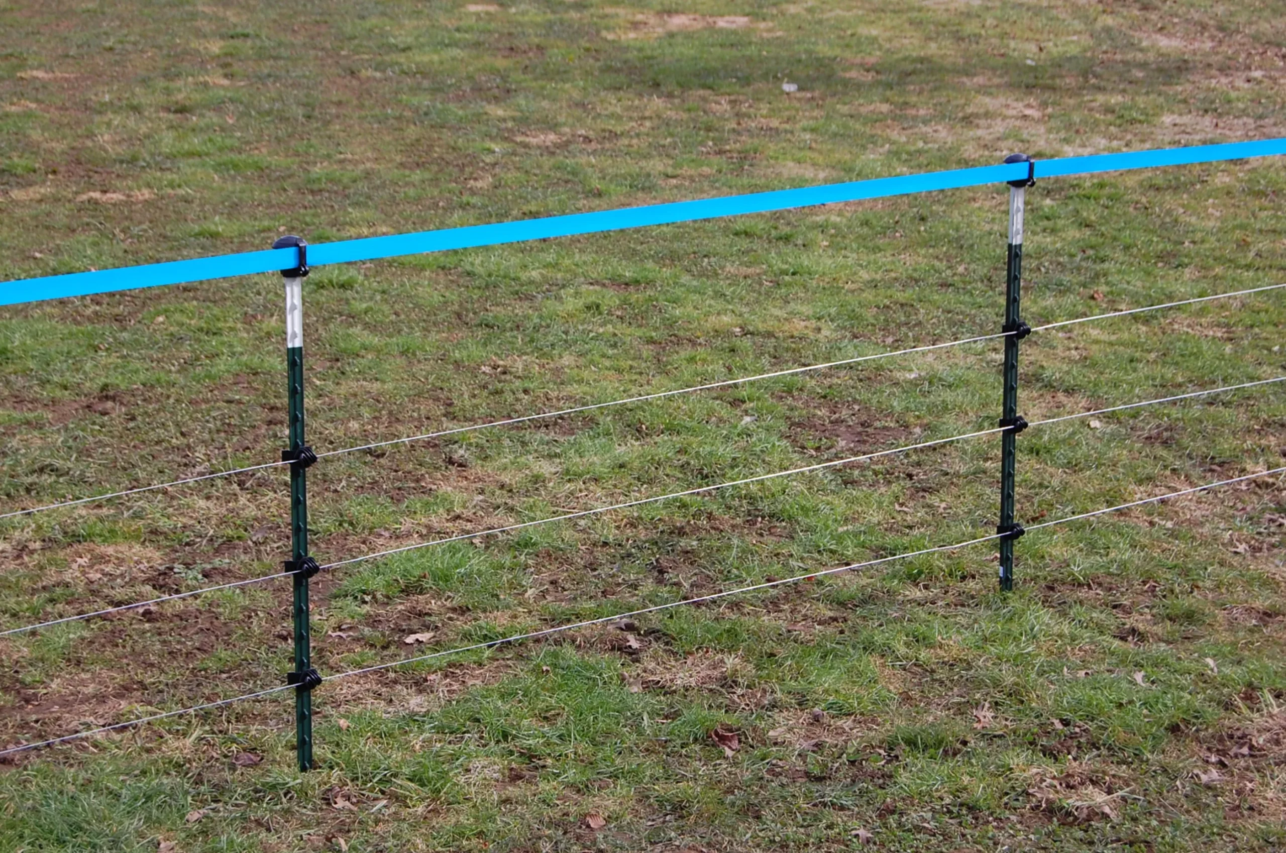 Plastband Kerbl till Vildsvinsnät Blå 250m