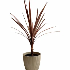 Plastkruka Ventura Stripes