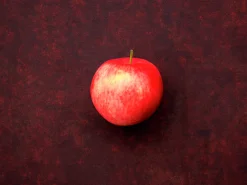 Äpple 'Mantet' Krukodlad