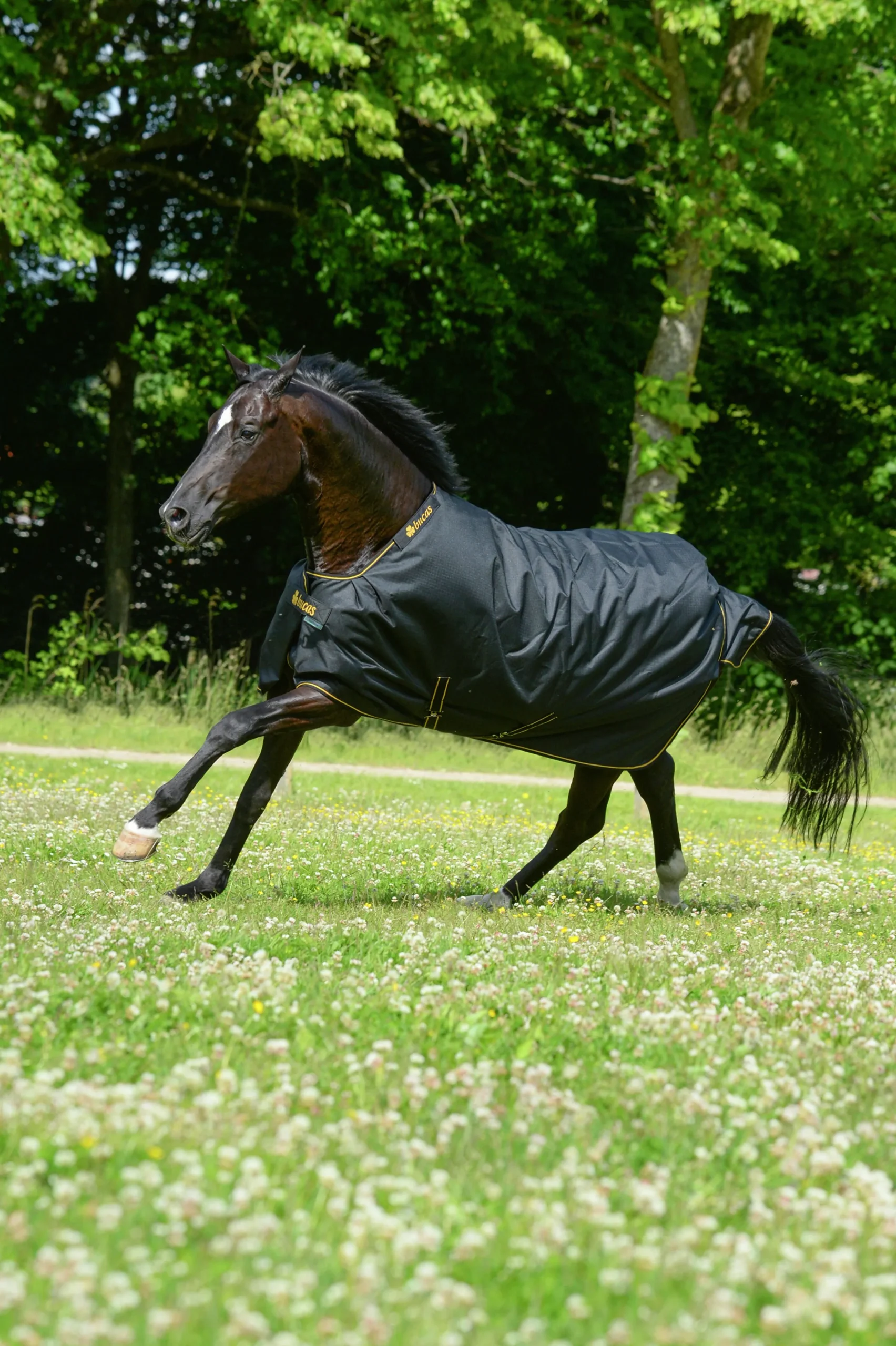 Regntäcke Bucas Irish Turnout Light 1200D 50g Svart