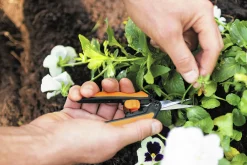 Örtsax Fiskars Snip SP130
