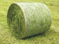 Rundbalsnät Poly-produkter Classic Premium HD 125cm 3600m