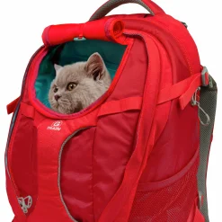 Ryggsäck Hund Kurgo G-Train Röd