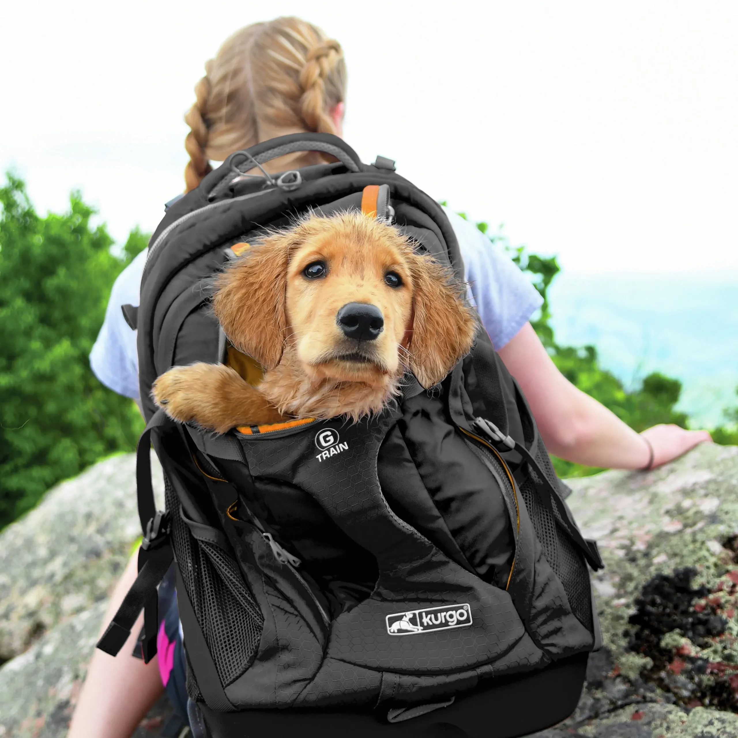 Ryggsäck Hund Kurgo G-Train Svart