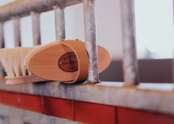 Ryktborste Borstiq Trä Tagelborst