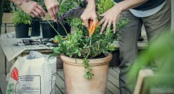 Sax Fiskars S90 Garden 21cm