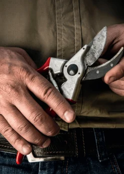 Sekatör Felco Felco 2 med slipsten