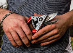 Sekatör Felco 8 med sidoskär