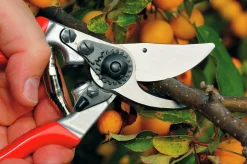Sekatör Felco 9 Vänster