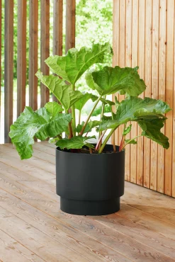 Självvattnande kruka Orthex Paulina Recycled Svart 30cm
