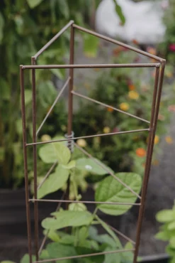 Spaljétorn Nelson Garden för tomater 23+25+23cmx140cm