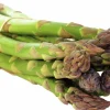 Sparris lat. Asparagus officinalis 'Gijnlim'