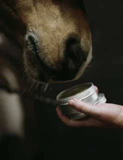 Sårgel Fair Horse Care 150ml
