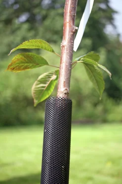Stamskydd Allox 110cm 2-p
