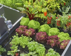 Startpaket Gardena Micro Drip System Pallkragar
