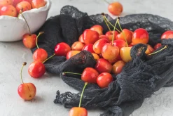 Sötkörsbär 'Merton Glory'