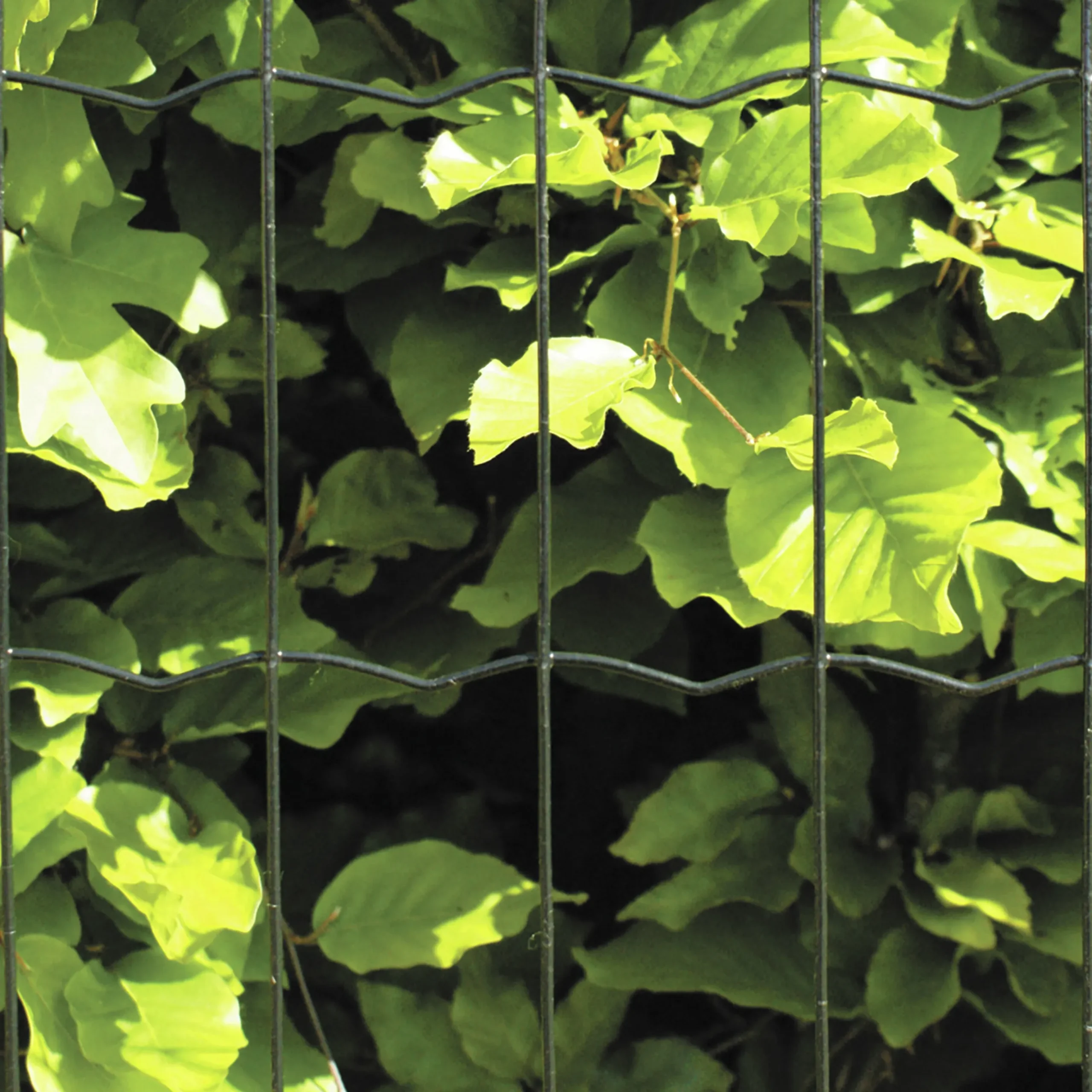Stängselpaket Hortus Villastängsel 5x10cm 80cm