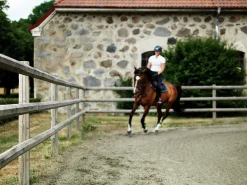 Stängselslana Octowood halvåttkantig 100x3500mm 1-p