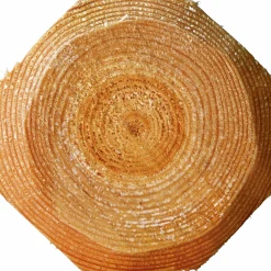Stängselstolpe Octowood åttkantig Ø 120x2500mm 1-p