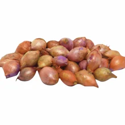 Sättlök Nelson Garden Rosa Värmebehandlad Rosanna 250g