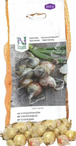 Sättlök Nelson Garden Schalottenlök Hermine 250g