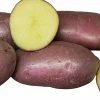 Sättpotatis LPM Asterix Höst 3kg