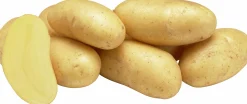 Sättpotatis LPM Gourmandine Sommar 500g