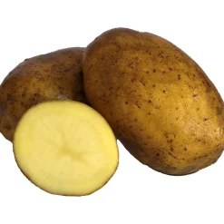 Sättpotatis LPM Inova Sommar 3kg