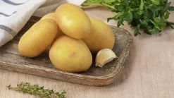 Sättpotatis LPM Inova Sommar 3kg