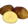 Sättpotatis LPM King Edward Höst 15kg