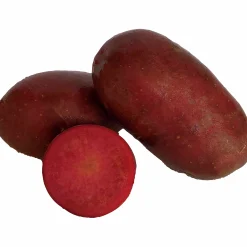 Sättpotatis LPM Lily Rose Sommar 1kg