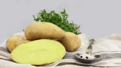 Sättpotatis LPM Mandel Höst 15kg