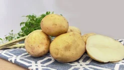 Sättpotatis LPM Maris Bard Vår 3kg