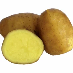 Sättpotatis LPM Mixlåda 3 sorter 4,5kg