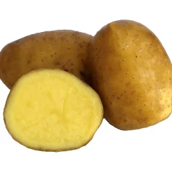 Sättpotatis LPM Princess Sommar 3kg