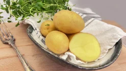 Sättpotatis LPM Princess Sommar 3kg
