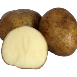 Sättpotatis LPM Rocket Vår 3kg