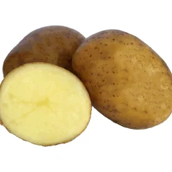 Sättpotatis LPM Solist Vår 15kg