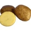 Sättpotatis LPM Swift Vår 15kg