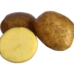 Sättpotatis LPM Swift Vår 15kg