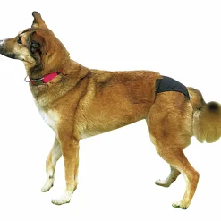 Tikskydd Trixie Svart