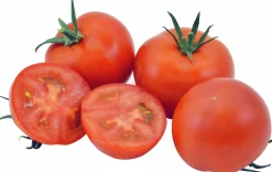 Tomatplantor Sortmix