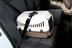 Transportbur Kerbl Expedition Creme/Vit S 45x30x30cm