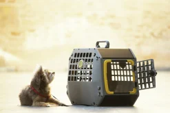 Transportbur MIMsafe Care2 Grå M