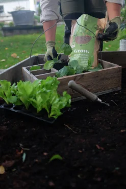 Trädgårdsgödsel Nelson Garden Kretsloppsgödsel Grow 4L